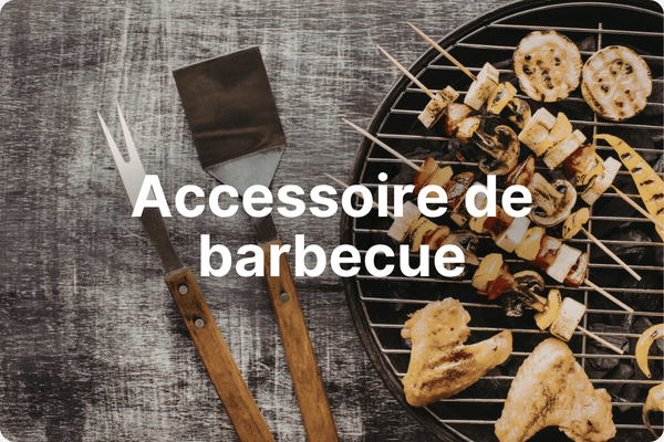 Accessoires de barbecue et plancha