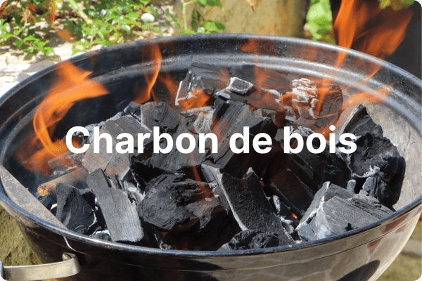 Charbon de bois et pellet pour barbecue