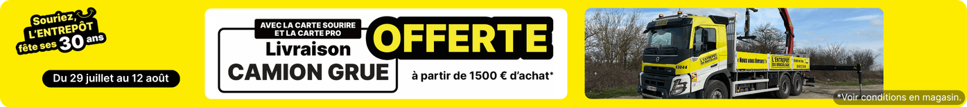 Livraison camion grue offerte