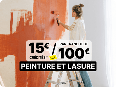 15 euros cr&eacute;dit&eacute;s tous les 100 euros d'achat sur une s&eacute;lection de grande marques de peinture