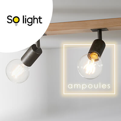 Gamme d'ampoules, ampoules LED et ampoules d&eacute;coratives.