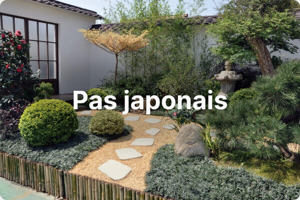 Pas japonais