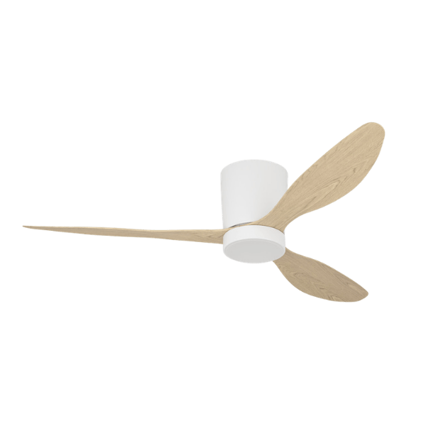 Ventilateur de plafond