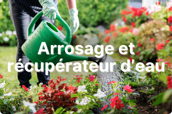 Arrosage et récupérateur d'eau