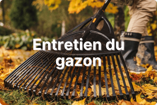 Outil pour l'entretien du gazon