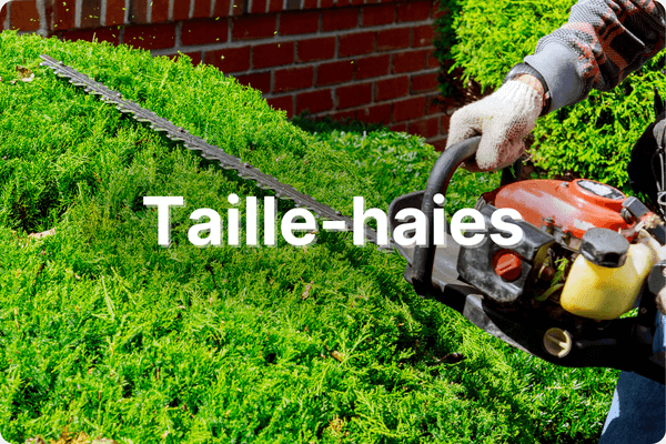 Taille-haies