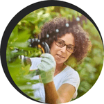 Comment préparer son jardin pour le printemps ?