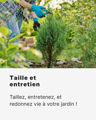 taille et entretien pour le printemps - Les outils indispensables pour le nettoyage Balai à gazon, râteau, souffleur, gants de jardinage : équipez-vous pour travailler efficacement et en toute sécurité.
