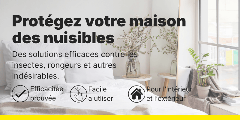 Protégez votre maison des nuisibles