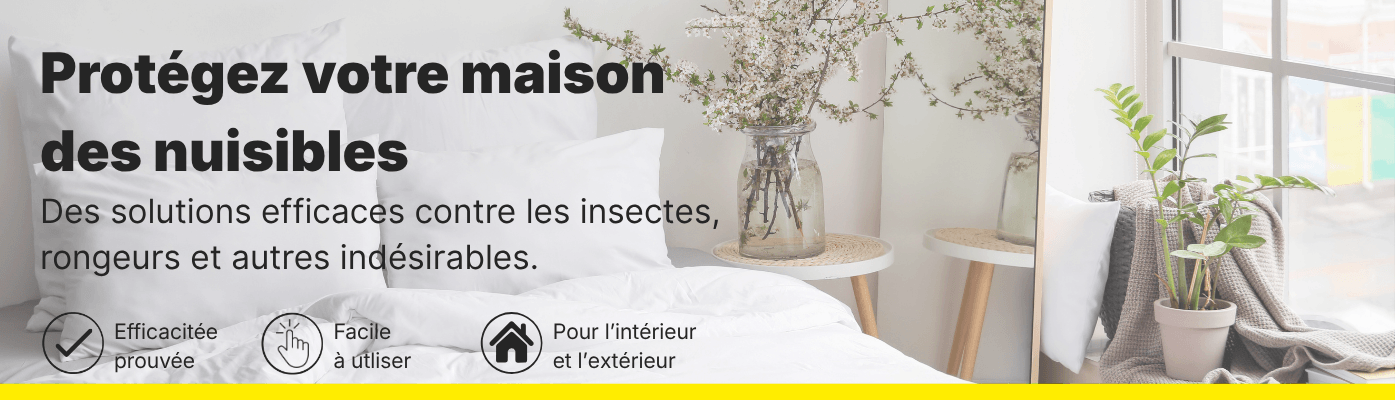 Prot&eacute;gez votre maison des nuisibles