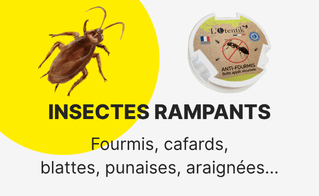 Insecticide et anti-nuisible - R&eacute;pulsif insectes rampants