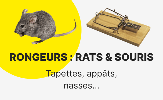 Insecticide et anti-nuisible - Pi&egrave;ge &agrave; souris et &agrave; rat