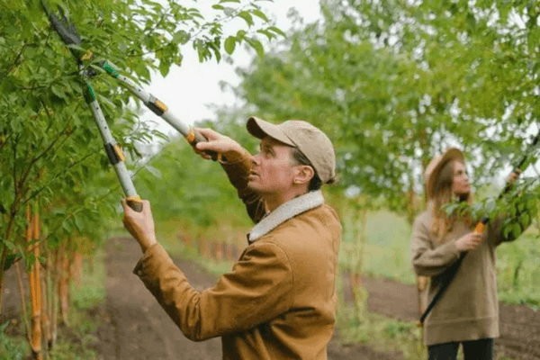 Lire l'article > Que faire au jardin en automne ?