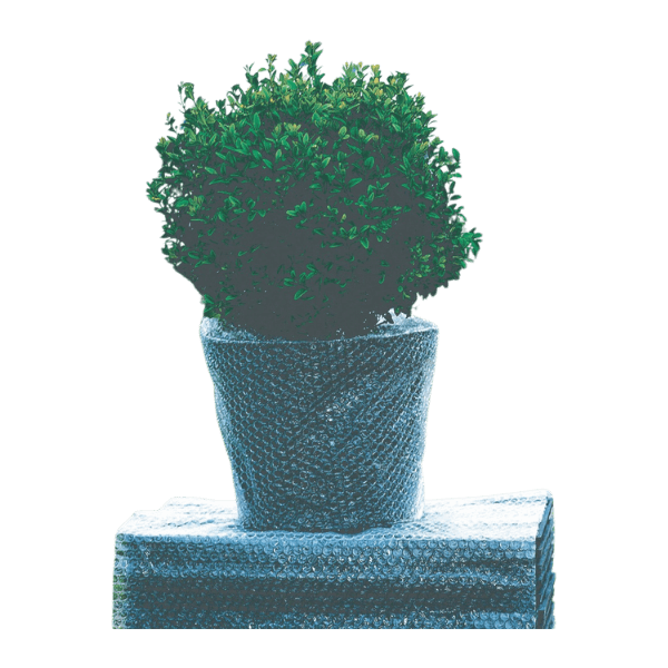 Hivernage du jardin