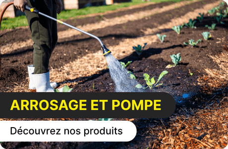 Arrosage et pompe