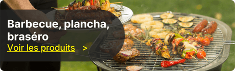 Barbecue - Plancha - Four &agrave; bois - Bras&eacute;ro