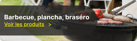 Barbecue - Plancha - Four &agrave; bois - Bras&eacute;ro