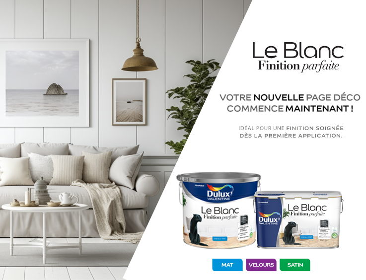 Peinture Plafond Parfait Architecte Blanc Mat 5 L - Dulux Valentine à Prix  Carrefour