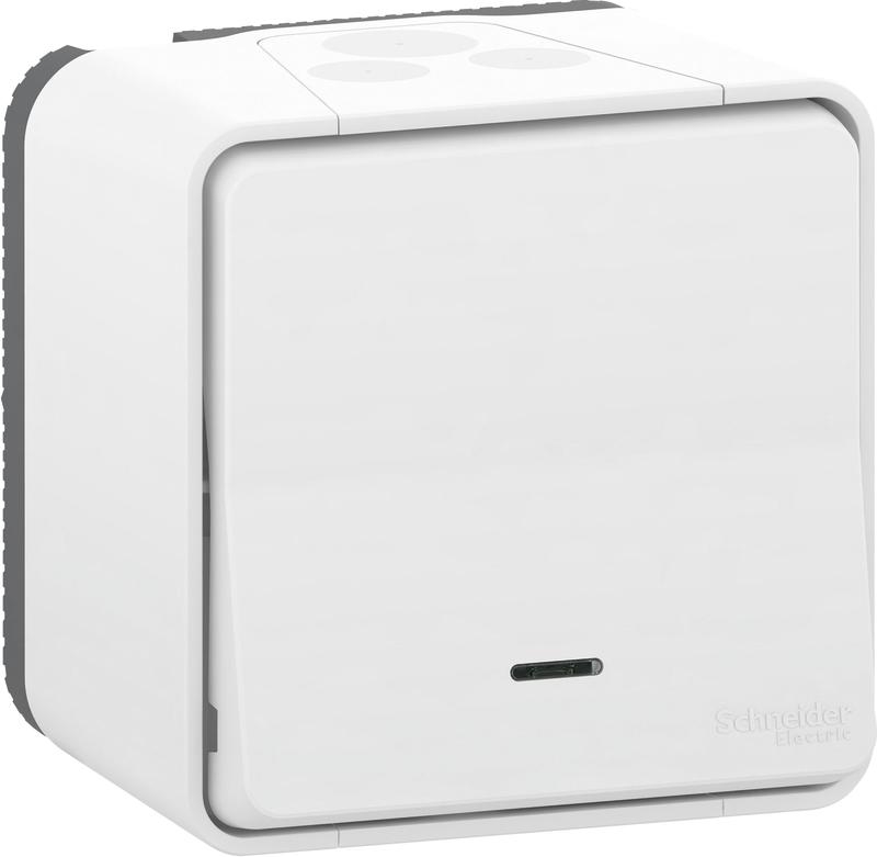 2 Interrupteurs Poussoirs Lumineux Encastrés Mureva IP55 Schneider