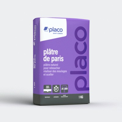 Plâtre de paris - 1 kg - Placo®, 1581799, Peinture et droguerie