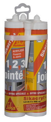 Mastic joint acrylique intérieur extérieur ParexLanko 613 Blanc 300 ml