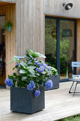 Pot de fleurs rond diamètre : 40-30-25-18 cm - Bricolage Outillage  Maison/Jardin - leaderbazar