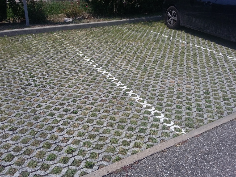 Dalle Gazon En Beton 50 X 33 X 9 5 Cm Grise Ggi 755856 Jardin Et Terrasse L Entrepot Du Bricolage Dalle Gazon En Beton 50 X 33 X 9 5 Cm Grise Ggi 755856 Jardin Et Terrasse L Entrepot Du Bricolage