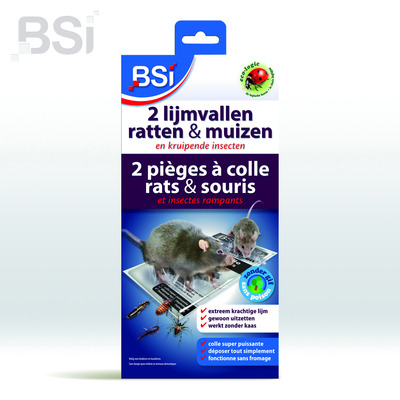 Boîte à appâts pour rats BSI - placez la mort-aux-rats en toute