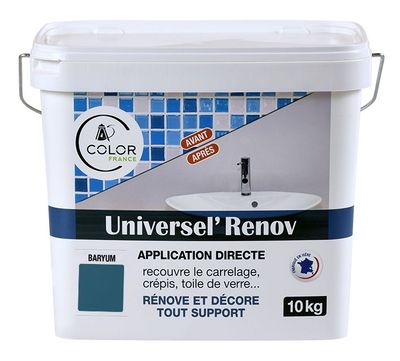 UNIVERSEL RENOV Bleu Gris BARYUM 10kg - COLOR FRANCE