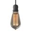 Ampoule LED ST64 Hologramme Edison 4 W = 100 Lumens blanc chaud - XANLITE