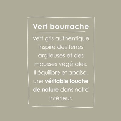 Peinture O'PUR Satin VERT BOURRACHE 2 L - RIPOLIN