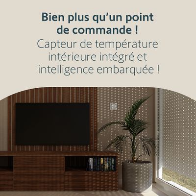 Télécommande intelligente avec capteur de température AMY Sun Protect io - SOMFY