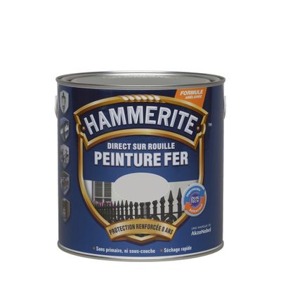 Peinture fer extérieur direct sur rouille lisse brillant argent 250 mL - HAMMERITE