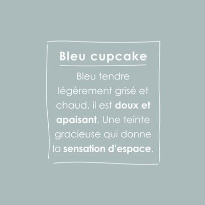 Peinture O'PUR Satin BLEU CUPCAKE 2L - RIPOLIN