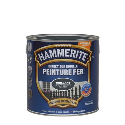 Peinture fer extérieur direct sur rouille Brillant Gris Anthracite 2.5 litres HAMMERITE