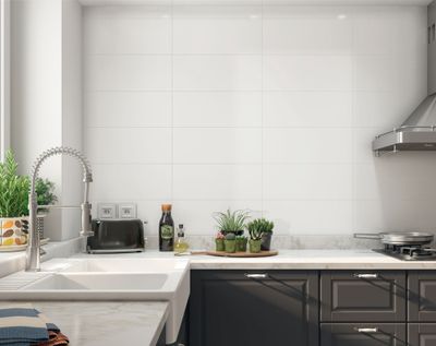 Faïence blanche murale intérieur brillant ép 10 mm 20 x 60 cm paquet de 1,08 m² CERAM INDUSTRIE