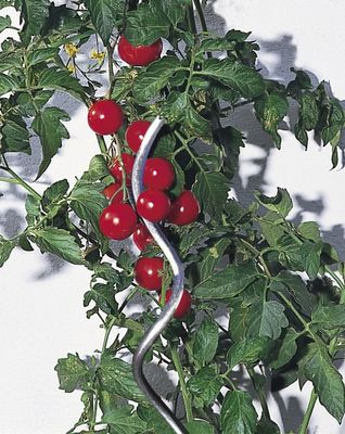 Tuteur spirale en acier galvanisé Ø6,5 mm H180 cm - WINDHAGER