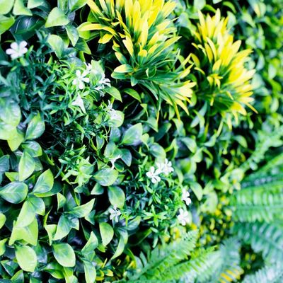 Mur végétal artificiel jungle 1m x 1m AG'CO