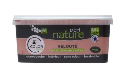 Peinture naturelle murale Pivoine velours 2,5 L - DEFI NATURE