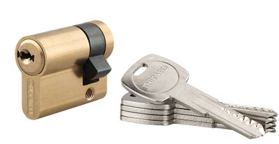 Demi-cylindre de serrure double entrée 30 x 10 mm Trafic 6 haute sécurité laiton 5 clés THIRARD