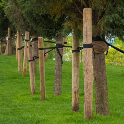 Piquet bois pin traité autoclave classe 4 - Ø80 x 2500 mm - DEBARGE