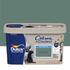 Peinture Crème de Couleur Vert Céladon mat 2,5 L - DULUX VALENTINE