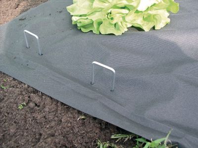 Agrafes métalliques 4 x 14 cm pour fixation dans le sol par 10 WINDHAGER