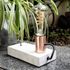Ampoule Filament LED ST64 Edison 4 W = 300 lumens blanc chaud XANLITE