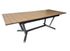 Table darwin 174/237x100 aluminium PRO LOISIR Livraison à domicile incluse