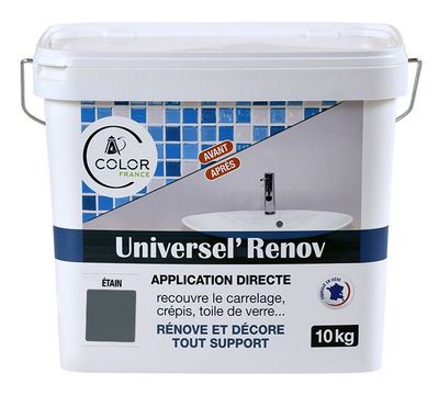 UNIVERSEL RENOV Gris foncé ETAIN 10kg - COLOR FRANCE