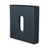 Rosaces de porte carrées à clé Mira noir mat 50 x 50 mm ALPERTEC