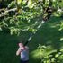 Coupe-branches téléscopique PowerGearTM X UPX86 et scie de 47cm UPX80 FISKARS