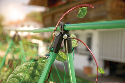 Connecteurs en V pour tuteur Ø16 mm par 4 - WINDHAGER