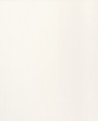 Lambris PVC Attitude blanc mat lisse jointif - 8 x 375 x 2600 mm - GROSFILLEX